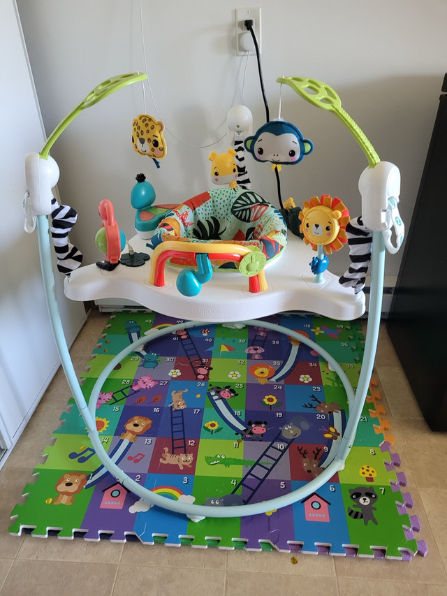 fisher price baby bouncer in Playpens, Swings & Saucers in Ottawa