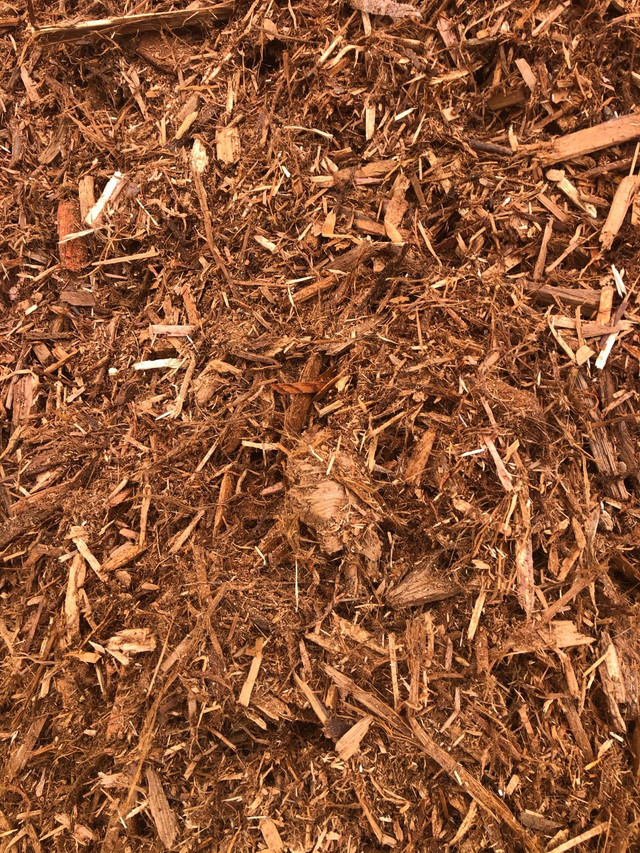 Premier Red Cedar Mulch - Landscaping in Plants, Fertilizer & Soil in Edmonton - Image 4