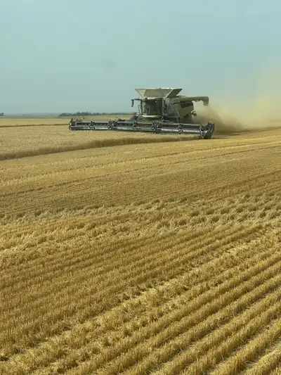 Farm Worker, View more