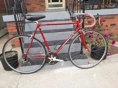 Vintage Gardin Red road bike 14 speed 57cm 22.5 inches medium suits riders 5'7 to 5'10. Record Itali...