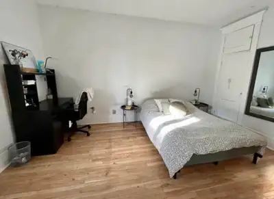 DISPONIBLE 1er FÉVRIER! Bonjour! Mon nom est Léna et je suis à la recherche d’une nouvelle coloc (fi...