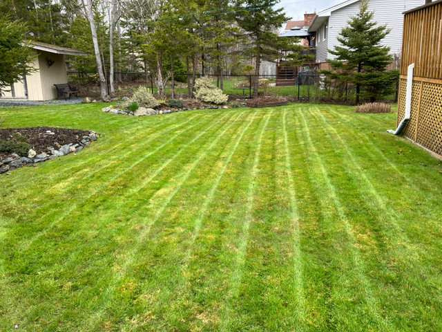 Lawn Mowing Cole Harbour/Dartmouth! FREE QUOTES in Lawn, Tree Maintenance & Eavestrough in City of Halifax - Image 3