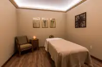 Therapy body massage (Mobile)