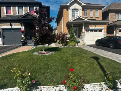 Room For Rent Newmarket