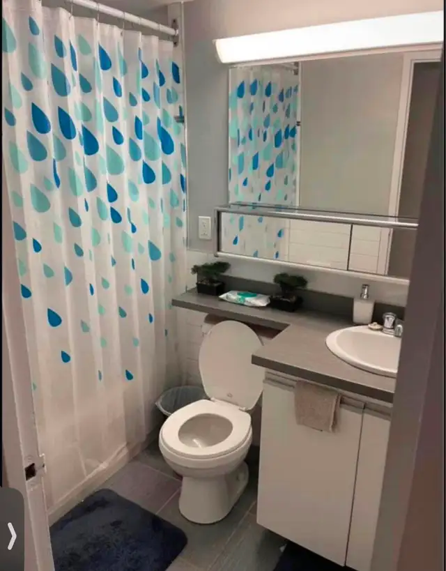 Furnished Private Room for Rent in 3-Bedroom Apartment in Room Rentals & Roommates in City of Toronto - Image 6