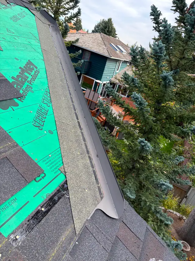 Roofing, siding, skylights, exterior repairs581029261613486081