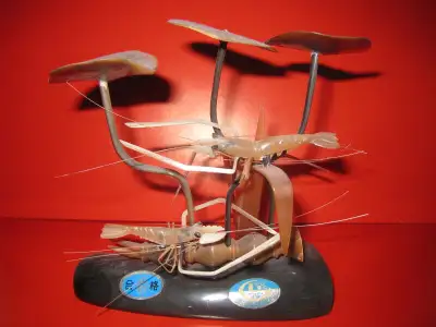 Lotus Leaf with Shrimps Home Décor  蓮生貴子, View more