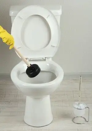 Licensed Plumber | 24/7 Emergency540256331954268163