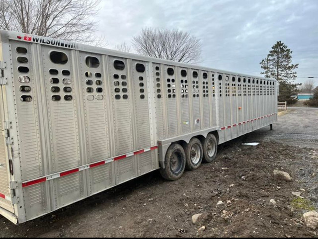2019 Wilson Foreman 42x8x6'11" Aluminum Gooseneck Livestock Trl  in Cargo & Utility Trailers in Napanee - Image 2
