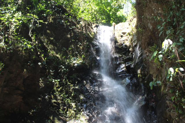 Paradise Is Waiting! Farm with Waterfall Access in Panama! in Land for Sale in Regina - Image 4