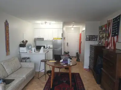 Apartment for Rent July 1st or August 1st - Downtown Montreal