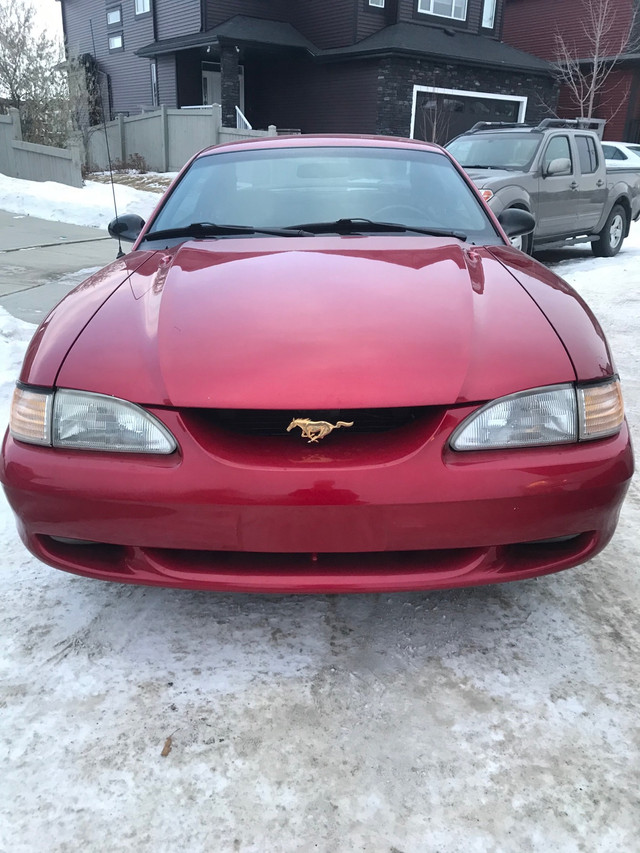1994 Ford Mustang GT - Manual 82km only in Cars & Trucks in Edmonton - Image 3