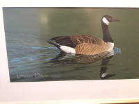 Big Duck Float in the Water by Lawrence Pitman(L 29"x H 19")