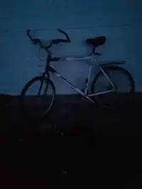 Giant mountain bike 