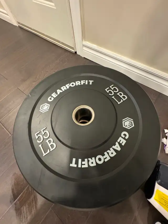Home Gym - Bench and Squat Rack594617648798115843