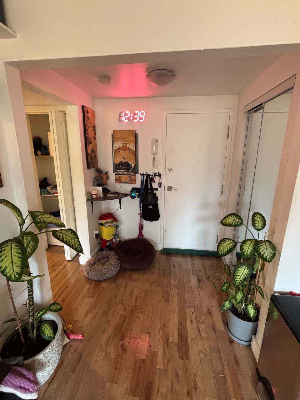 3 1/2 Apartment Lease Transfer 3