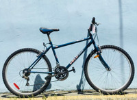 Vélo Sport - Banff 18 Speed Hybrid Bike.  19.5” large frame. 