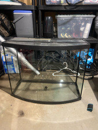 55 gallon bow front 
