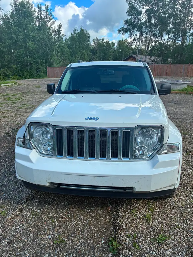 2010 JEEP LIBERTY554758077678899203