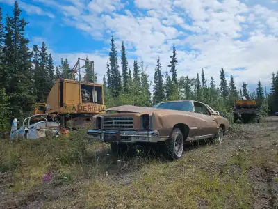1976 monte carlo Has sat for at least 30 years, no motor.
