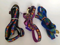 Premier Pet Dog Leash and Harness. Great Quality, Cool Designs!