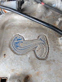 Ford mustang cobra 