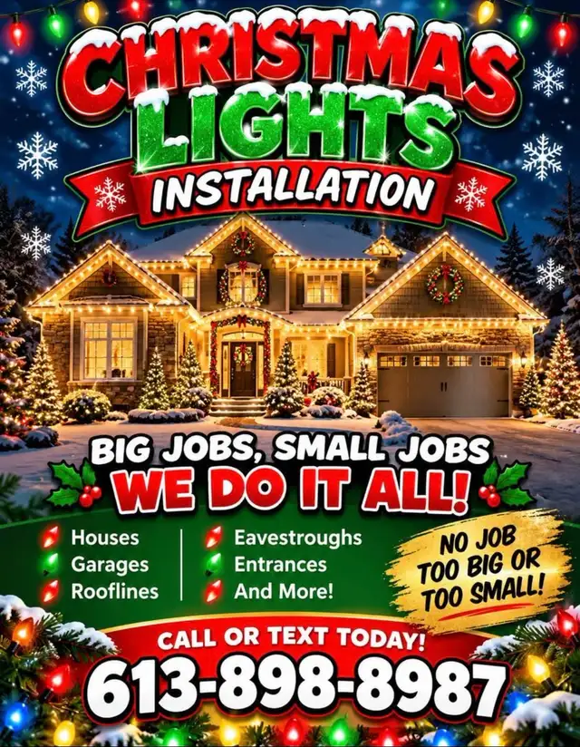 Professional Christmas Lights Installation Service