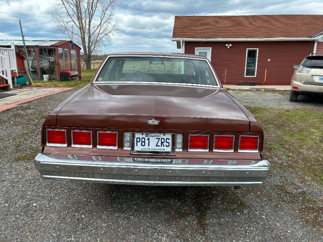 1981 Chevrolet Caprice in Classic Cars in Gatineau - Image 4