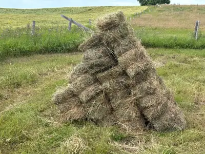 Quality Square Bales, View more
