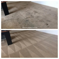 Carpet Plus Rugs And Couch Cleaner