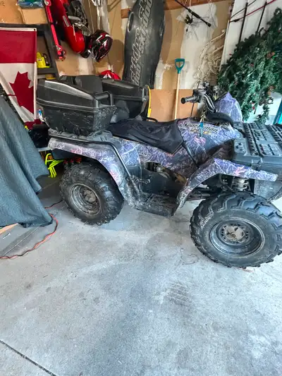 Polaris Special 50th Edition Sportsman 500 HO 2009, View more