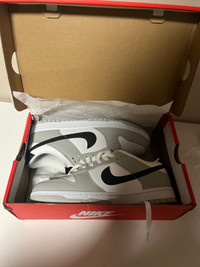 Nike dunks “lottery grey”