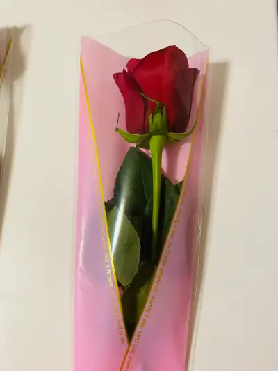 Single roses $5 Valentines gift , View more