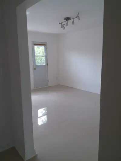 Grand 5 1/2 à louer, Villeray, Métro Fabre, 1er juillet.