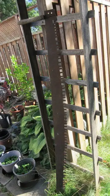 Vintage Antique logging crosscut hand saws in Hand Tools in Ottawa - Image 2