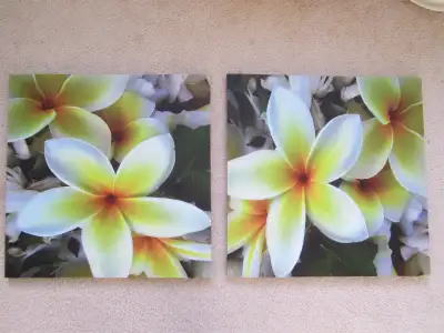 Decoration canvas prints, View more