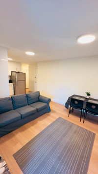 $1,250 / 2br - PRIVATE ROOM BASEMENT (NEW BRAND HOUSE)