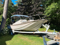 18-foot McKee Craft, new 115 Merc