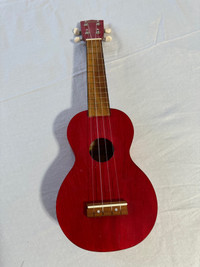 music instrument - ukulele 