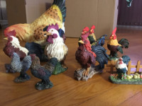 Chickens and roosters