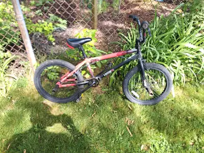 My son is selling his BMX to fund getting a new mountain bike. It is a hyper spinner, pegs on all si...