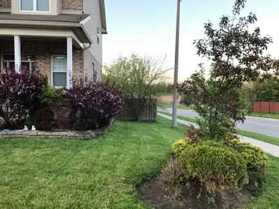 Looking for a mature student or young professional that wants to maintain a clean and quiet environm...