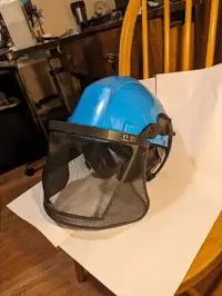 Forestry Helmet