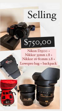 Nikon D5500 + nikkor 35mm 1.8 and 16-80mm 2.8
