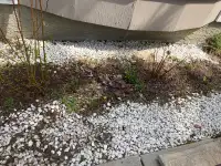 White landscaping rocks