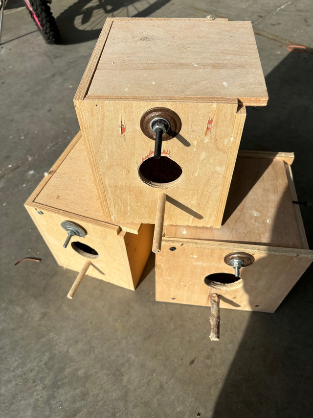 Birds nest box in Birds for Rehoming in Windsor Region
