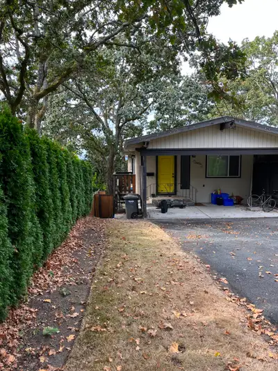 3 Bedroom 1 Bath 1/2 Duplex located Saanich near Quadra Street and Cloverdale Ave. AVAIL OCTOBER 1ST...