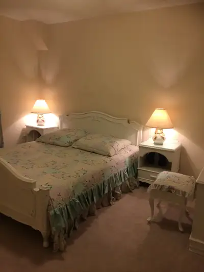 I am seeking a non-smoking FEMALE Professional/ Student to rent a well-furnished bedroom in a Family...