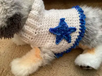 Hand Crocheted Small Dog Sweater!!, View more