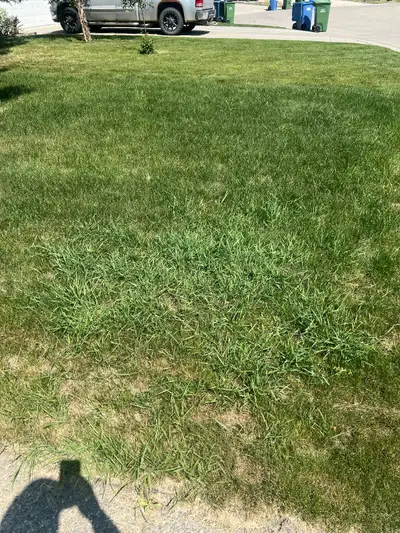 Fall yard clean up / leaf removal/snow removal, View more